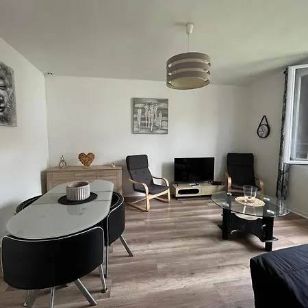 Les D'albatre, Le 56